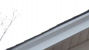 Yesenia Ariza, de 28 años, es una de las  beneficiadas con el programa de Acción Diferida anunciado por el presidente Barack Obama en junio de 2012. Hoy ejerce la carrera de psicología y ya es dueña de casa.