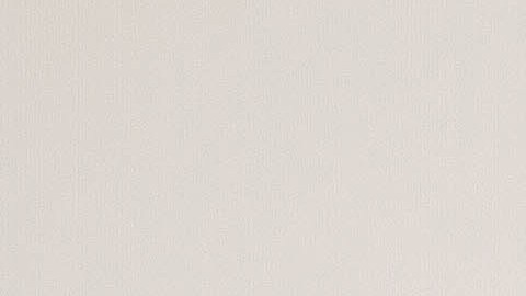 El grupo Kinky estará en el Teatro Portage.