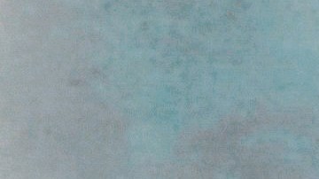 John Escalante tiene una licenciatura en Justicia Criminal  de Lewis University, en Romeoville, Illinois.