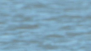 El 1 de enero es el tradicional baño helado.