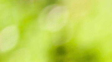 La malnutrición entre las personas de la tercera edad puede causar enfermedades crónicas y agudas.