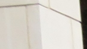 Un grupo de vecinos del barrio de Logan Square,  líderes comunitarios y religiosos quieren que la Ciudad cumpla su promesa de rehabilitar viviendas vacías de Lathrop Homes en el barrio de Logan Square.