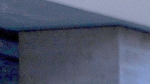 Activistas e inmigrantes han salido a las calles de Chicago para pedir que paren las redadas y cesen las deportaciones.