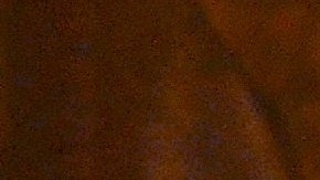 Vicenta Sánchez mira un cartel en el que se lee: “Salven a Providencia de Dios”, iglesia ubicada en el vecindario de Pilsen. Sánchez participó en una vigilia de oración junto con varios feligreses católicos de ese barrio.