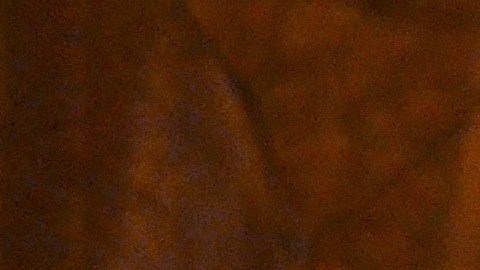 Vicenta Sánchez mira un cartel en el que se lee: “Salven a Providencia de Dios”, iglesia ubicada en el vecindario de Pilsen. Sánchez participó en una vigilia de oración junto con varios feligreses católicos de ese barrio.