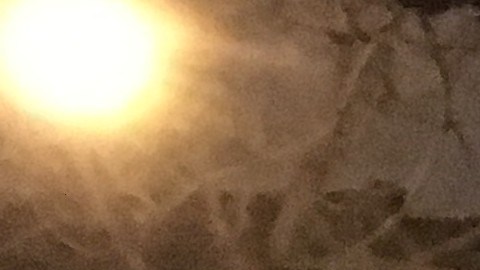 En la noche del lunes se realizó una vigilia al frente de la casa donde ocurrió la masacre. La vigilia, una de varias que se han realizado desde que ocurrió el incidente, fue dirigida por el Padre Alfredo Gundrum de la Iglesia de Santa Clara de Montefalco y el Padre Tony Pizzo de la Iglesia de Santa Rita de Cascia.