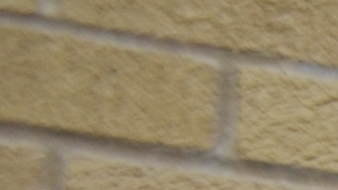 El proceso de credencialización electoral mexicana en el Consulado de México en Chicago y otros consulados de Estados Unidos comenzó el 8 de febrero de 2016.