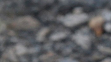 En el lugar del tiroteo, los agentes del orden encontraron dos armas de fuego y casquillos de bala.