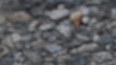 En el lugar del tiroteo, los agentes del orden encontraron dos armas de fuego y casquillos de bala.