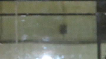 Un total de 57 equipos disputan los premios y dinero en efectivo en el torneo de los viernes de la liga 5 de Mayo Soccer League.