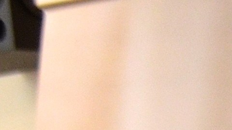 Melanie Martínez, de 14 años, es estudiante de octavo grado de la Calmeca Academy Fine Arts and Dual Language. Ella fue a la audición organizada en Chicago por la Mariachi Heritage Foundation acompañada de su madre Irma García