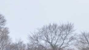 La selección Tuzos-Chicago viajó a México al Torneo Pachuca UFD 2016.