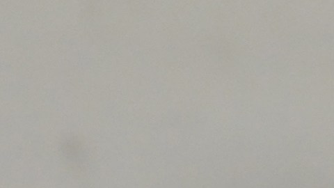 Baltazar Durán se formó en el Dynamic FC y lo pretenden las Chivas y el América.