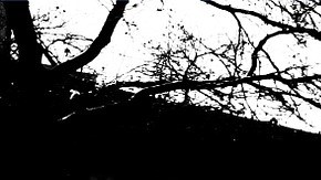 Vivir solo durante la tercera edad no es fácil, más aún cuando se es pobre y no hay familiares ni amistades.