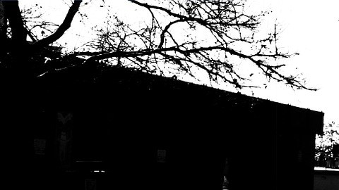 Vivir solo durante la tercera edad no es fácil, más aún cuando se es pobre y no hay familiares ni amistades.