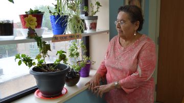 La señora Yolanda, una hondureña de 77 años, es viuda y madre de siete hijos. Vive sola en un pequeño apartamento en Chicago subsidiado por el gobierno.