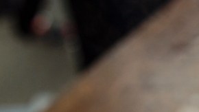 Prueba los moles más ricos de Chicago en el Festival de Mole que se festejará este fin de semana.