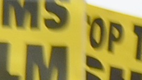 La Alianza por los Derechos de los Inmigrantes pidió una amnistía incondicional para todos los indocumentados en el Día Internacional del Trabajo.