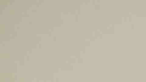 Foto:

EL PSG se quedó con el primer lugar de la categoría 2003 en ChiTown Futbol.