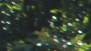 En Chicago habrá muchas actividades para celebrar el 5 de Mayo.