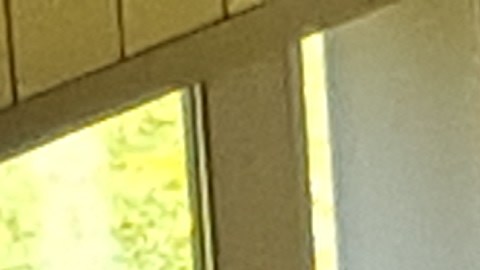 La ceremonia de juramento para estos 50 inmigrantes se realizó en la secundaria Benito Juárez este 5 de Mayo.