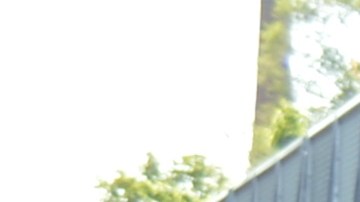 Simpatizantes marchan hacia el Sendero 606 protestando contra el desplazamiento urbano en Chicago. Al grupo se unieron activistas de varias organizaciones.