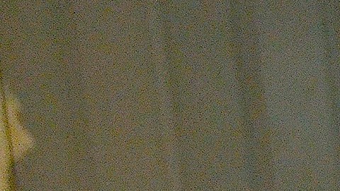 Monserrat Morán no tiene completas sus extremidades  pero esto no ha sido impedimento para que cultive su pasión por el arte y prepare deliciosos tacos.