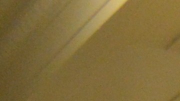 Miembros y simpatizantes de la organización sin fines de lucro Arise Chicago, uno de los grupos impulsores de la Coalición para la creación de la nueva ordenanza.