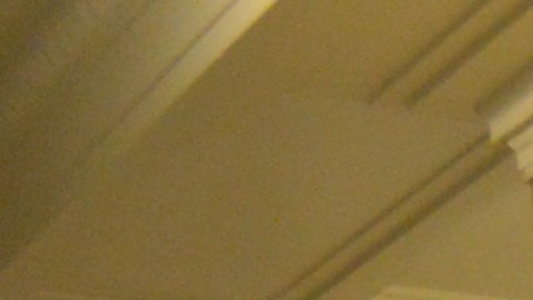 Miembros y simpatizantes de la organización sin fines de lucro Arise Chicago, uno de los grupos impulsores de la Coalición para la creación de la nueva ordenanza.