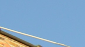 Alientan a los oficiales a buscar apoyo en servicios de salud mental.