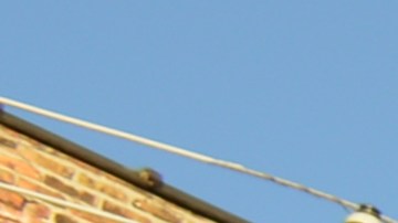 Alientan a los oficiales a buscar apoyo en servicios de salud mental.