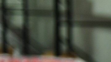 El sueño de Berenice Tenorio se hizo realidad: tiene su propia empresa, el Grupo Premier Foods establecido en Elk Grove Village, en Illinois.