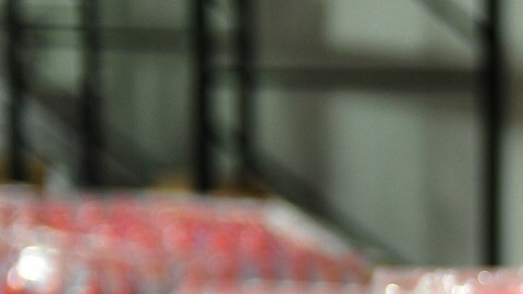 El sueño de Berenice Tenorio se hizo realidad: tiene su propia empresa, el Grupo Premier Foods establecido en Elk Grove Village, en Illinois.