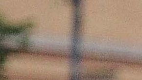 Los Panthers del Harrison Park abrieron las inscripciones para la nueva liga de futbol americano.