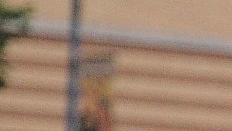 Los Panthers del Harrison Park abrieron las inscripciones para la nueva liga de futbol americano.