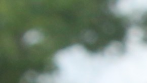 El senador Dick Durbin habló en el Centro de Defensa de los Niños de Chicago a favor de mayores protecciones para los menores en las redes sociales.