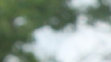 El senador Dick Durbin habló en el Centro de Defensa de los Niños de Chicago a favor de mayores protecciones para los menores en las redes sociales.