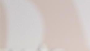 Una coalición de Chicago exigió al alcalde Rahm Emanuel reforzar una existente ordenanza para proteger más a los inmigrantes.