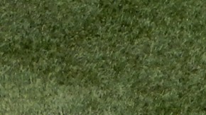 Jake Arrieta, el mejor lanzador de los Cachorros, no ha ganado desde el 27 de junio.