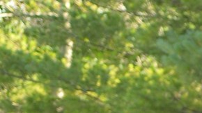 El equipo Sport Family, formado por la familia Ambrosio de Guatemala, fue fundado hace 10 años.