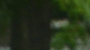 Dany Márquez exjugador del América ahora juega en Chicago con el Morelia en la liga CLASA.