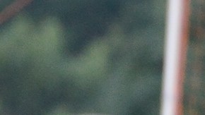 El Torneo Waukegan-Chicago Tuzos es para niños de hasta 18 años. En la foto, jugadores de la academia Tuzos Chicago Academy.