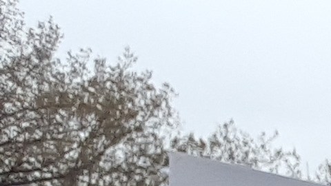 La Alianza de Pilsen realizó una marcha similar en enero de este año. Se prevé que este miércoles asistirán unas 200 personas.