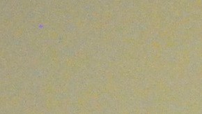 La representante Elizabeth Hernández con Isabel Escobar, trabajadora doméstica y miembro del consejo de la organización Arise Chicago.