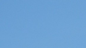 Defensores de los derechos de los inmigrantes en Chicago piden que los dos jornaleros aún detenidos por inmigración en un operativo el 5 de agosto de 2016 sean liberados.