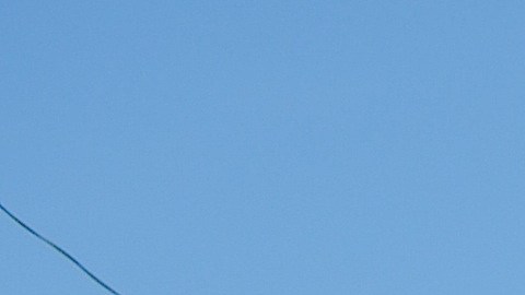 Defensores de los derechos de los inmigrantes en Chicago piden que los dos jornaleros aún detenidos por inmigración en un operativo el 5 de agosto de 2016 sean liberados.