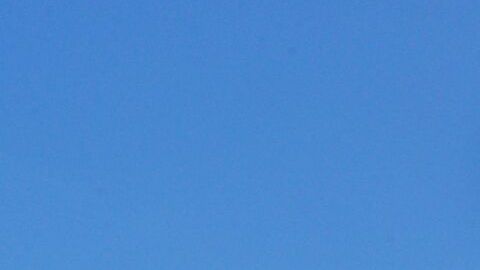 Las casas Ronald McDonald House ofrecen hospedaje libre de costo a miles de familias.