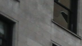 La Ciudad de Chicago añadirá casi mil oficiales, detectives y mandos a su fuerza para enfrentar al crimen y la violencia.