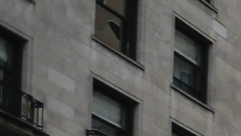 La Ciudad de Chicago añadirá casi mil oficiales, detectives y mandos a su fuerza para enfrentar al crimen y la violencia.