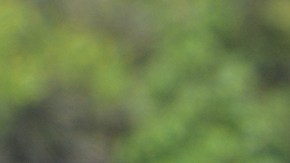 Carmen Contreras ejerce de árbitro en finales varoniles y se ha ganado el respeto de todos.